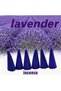 Incense Cones | Lavender 200 Pieces | | Sandlewood, Rose, Lavendar, Oud, Bakhoor, Jasmine, Orange, Lemon Grass, Cherry Blossom, Sage, Agarwood, Dragon Blood, Osmanthus. (200 Cones) - 7