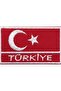 Turkish Flag Turkey Written Rectangular Embroidery Coat of Arms 4X7 Cm. 25 Pieces - 4