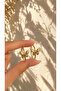 Ring Butterfly 2-Piece Earrings - 2