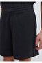 Anthracite Shorts 0410363-80106 - 7
