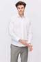 Men's Regular Shirt