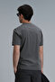 Antony Modern Graphic T-Shirt Green - 6