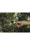 Solid Anvil Garden Shears (P361) - 2