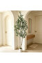 182cm Lifelike Double Trunk Faux Olive Tree, Adjustable Branches & Dense Foliage, White Planter with Artificial Moss Cover, No‑Watering Decor Tree for Modern Household - 3