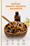 Masaj Yağı Aromaterapi ( Propolis Seans ) 250 ML - 6