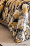 100X200 Single Duvet Cover Set Patterned Yellow-Anthracite - 3