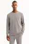 Men's Gray Crew Neck Soft Touch Printed Regular Fit Sweatshirt A52Y1334 - 5