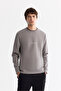 Men's Gray Crew Neck Cotton Printed Elastane Regular Fit Sweatshirt A42Y1313 - 4