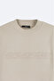 Men's Stone Crew Neck 3 Thread Raised Printed Regular Fit Sweatshirt A42Y1306 - 8