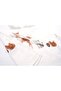 Forest Amigos 100% Cotton Children's Muslin Poncho 3-4 Years - 3