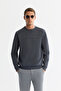 Men's Anthracite Crew Neck Cotton Printed Elastane Regular Fit Sweatshirt A42Y1221