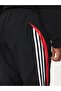 Men's Sweatpants Ix9646 - 4
