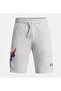 Boys' Shorts 1366885-014