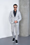 Light Gray Slim Fit Suit