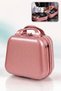 Mini Luggage Bag - Travel Bag - Hand Luggage - Hand Bag - Cosmetic Makeup Bag - Cabin Luggage