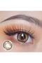 FreshLady 14.00mm Colored Contact Lenses Astral sight Brown