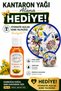 St. John's Wort Oil 120 ml Natural Herbal Care Oil + Automatic Opening Korean Fan Gift