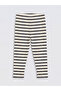 Lcw Baby Navy Blue Baby Boy Tights 3-Pack - 3