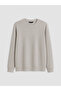 Lcwaikiki Classic Gray Crew Neck Printed Men's Sweatshirt