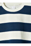 Lcw Kids Navy Blue Crew Neck Striped Boy's Sweatshirt - 3