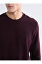Timeless Clothing & Timeless Choices Zero Roba Collar Men's Sweatshirt - 4