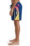 Everyday Holmes Volley 16 Men's Volley Men's Volley Shorts Eqyjv04136 - 2