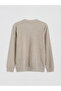 Lcwaikiki Classic Beige Crew Neck Textured Men's Sweatshirt - 7