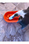 Cat Toy Oval Interactive Cat Play Accessory Pet Toy - 3