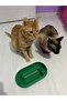 Cat Toy Oval Interactive Cat Play Accessory Pet Toy - 2