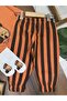 Capybara Printed Oversize Sweatshirt, Stripe Printed Trousers, Sock Detailed Bottom and Top, 3-Piece Seasonal Baby Boy Set - 5