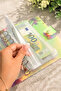 Accumulation Agenda - Budget Planner Wallet - Crystal Hologram - 2
