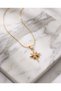 Astraelis North Star Steel Necklace (Polar Star) - 3