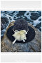 Wide Brim Mercerized Beach Hat for Women