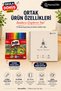 12 Color Felt-Tip Pens and 1 Piece 110 Gr 30 Yp 25X35 cm Spiral Drawing Notebook Set - 2