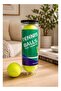 Tennis Balls, 3-Pack High-Visibility Yellow in Reusable Storage Tube - 3