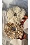 Elastic Hair Clip 2-Piece Square, Flat Model Women's Elastic Hair Clip