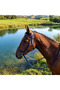 Genuine Leather Horse Bridle and Reins Set - Navy Blue - 7