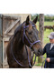 Genuine Leather Horse Bridle and Reins Set - Navy Blue - 2