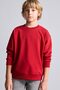 Crew Neck Soft Fleece Basic Sweatshirt for Boys I1419A826Wn