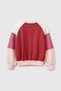 Girl's Powder Embroidered Color Blocked Raglan Sleeve Crew Neck Sweatshirt - 2