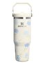 The iceflow flip straw 2.0 tumbler 0.89l colorful