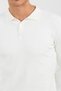 Men's Ottoman Fabric Striped Polo Collar Basic Knitwear - 6