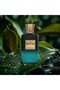 عطر آيلاند إكستريت دي بارفان سبراي للجنسين - 3