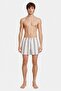 Men Stripe Board Shorts, Multicolor - 2