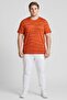 Men Fitted Short Sleeve Training T-Shirt, Red - 2