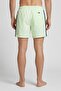 Men Stripe Board Shorts, Green - 4