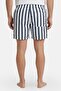 Men Stripe Board Shorts, Multicolor - 4