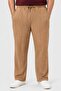 Men Regular Fit Textured Straight Leg Pants, Tan