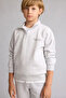 Regular Fit Half Zipper High Collar Soft Fleece Inside Letter Embroidered Sweatshirt for Boys H9689A82