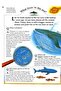 Knowledge Masters Sealife - 3